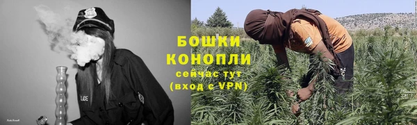 стафф Бронницы