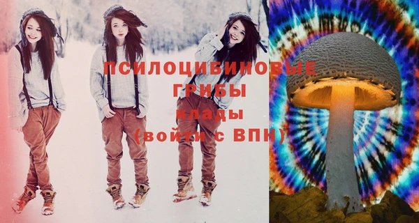 стафф Бронницы
