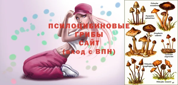 стафф Бронницы