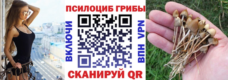 Галлюциногенные грибы MAGIC MUSHROOMS  Игра 